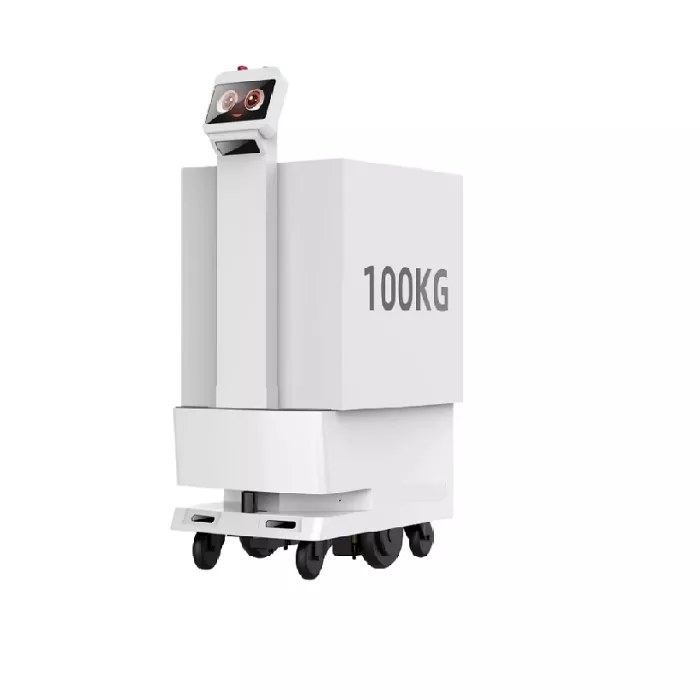 Robota dostawczego