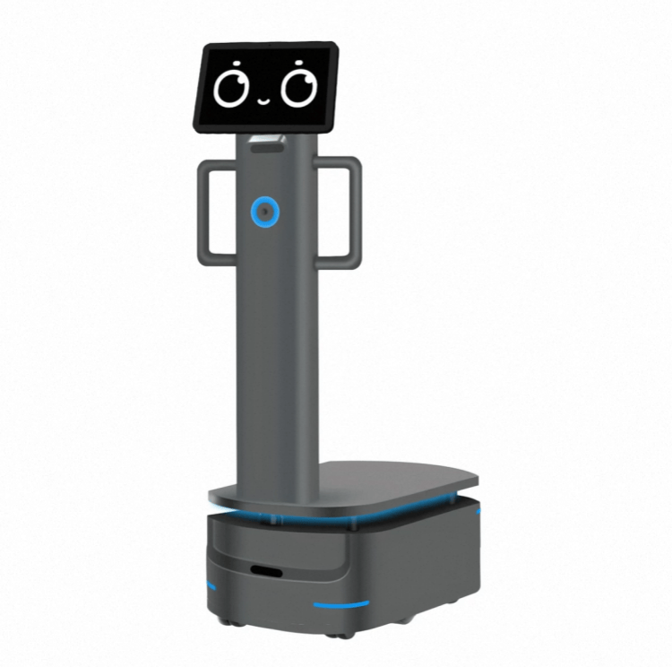 Robot o dużej ładowności do dostaw przemysłowych